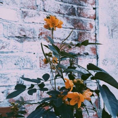 NG南宫28官网登录